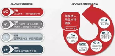 2016中国成人用品B2C市场发展概述